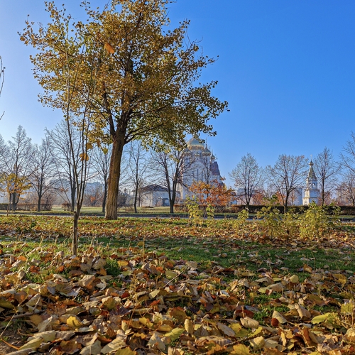 Photo #14121497