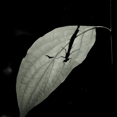 Photo #14121569