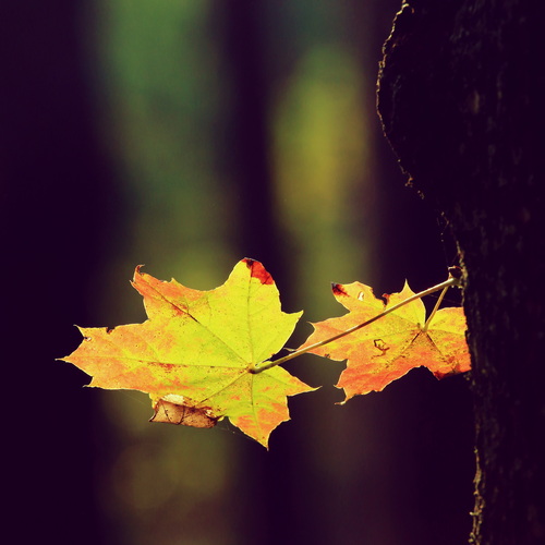 Photo #14121638