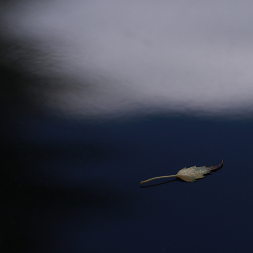 Photo #14121705