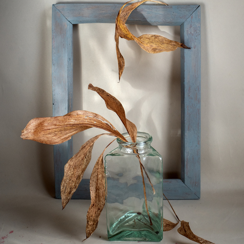 Photo #14121781
