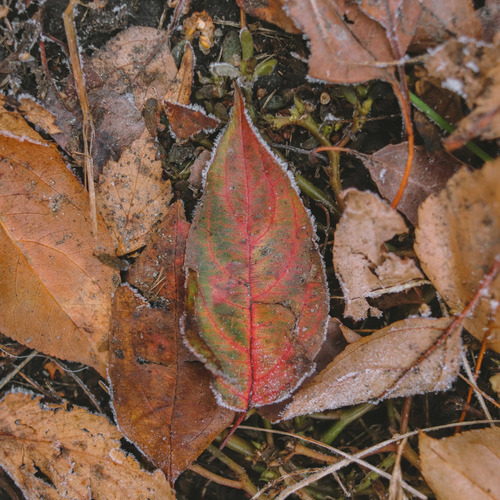 Photo #14121801