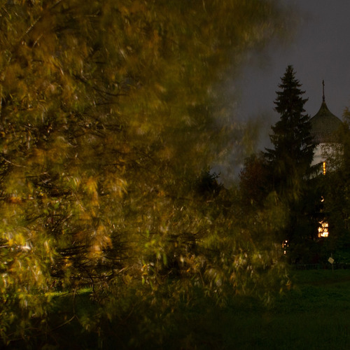 Photo #14121836