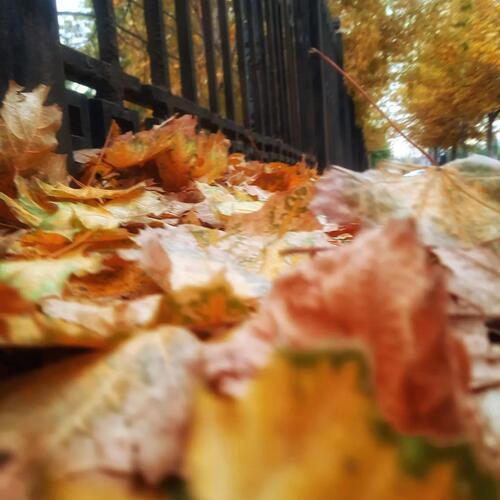 Photo #14121893