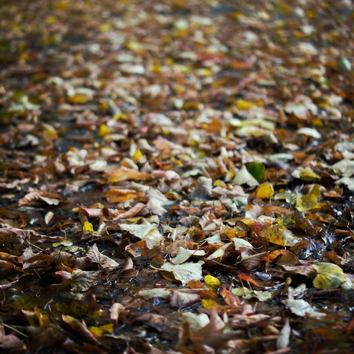Photo #14121924