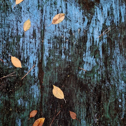 Photo #14121956