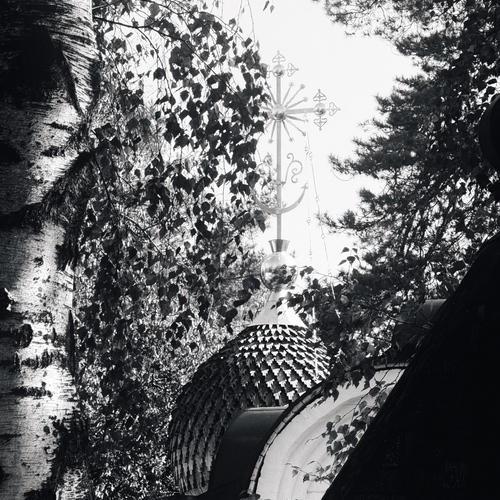 Photo #14122006