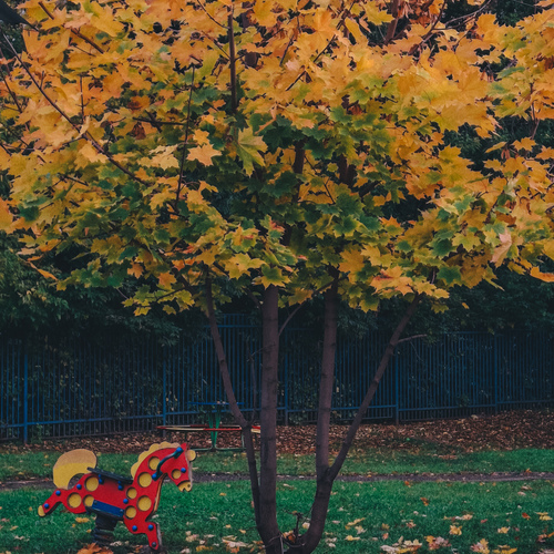 Photo #14122037