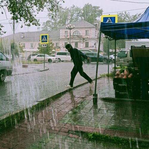 Photo #14122042