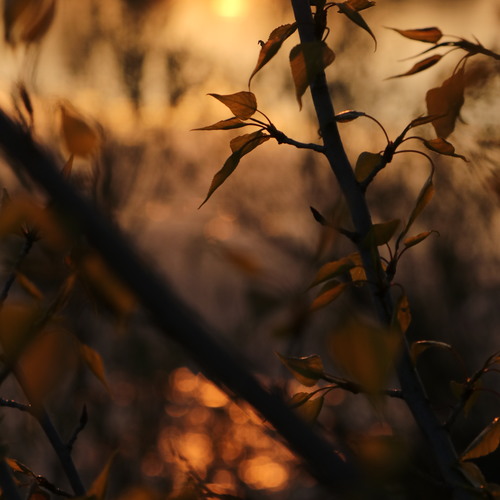 Photo #14122050