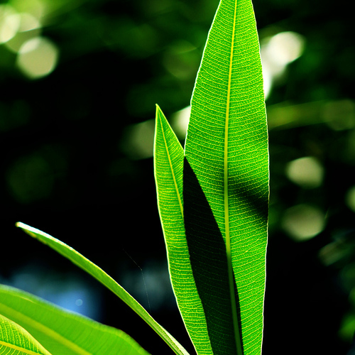 Photo #14122067