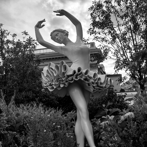 Photo #14122073