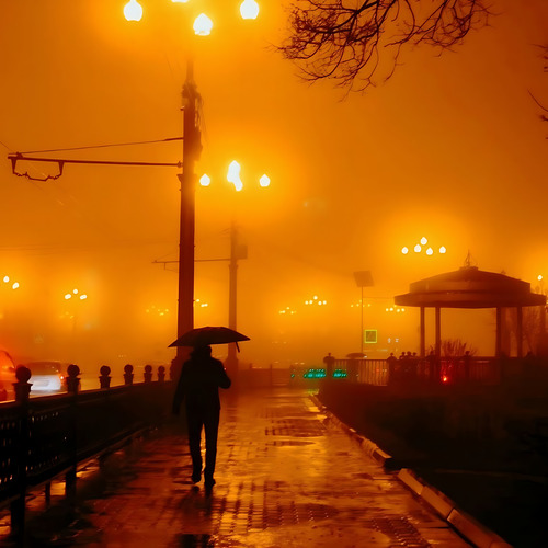 Photo #14122108
