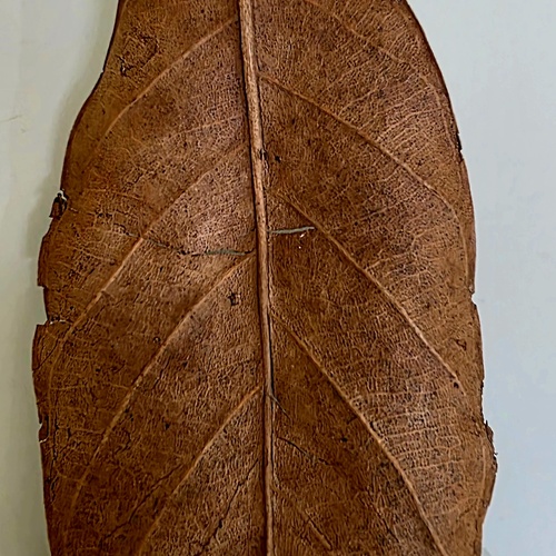 Photo #14122243