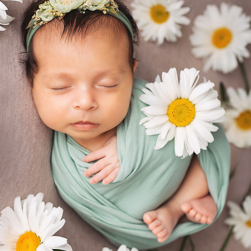 Photo #14122276