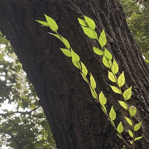 Photo #14122280
