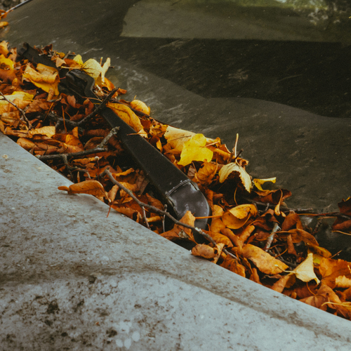 Photo #14122285