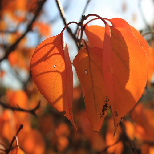 Photo #14122397