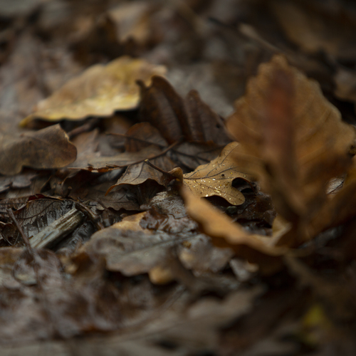 Photo #14122401