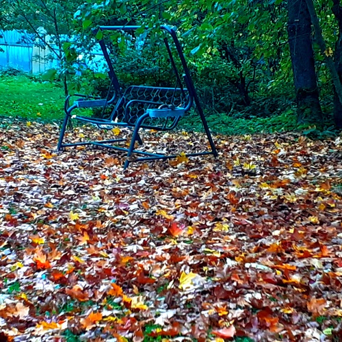 Photo #14122423