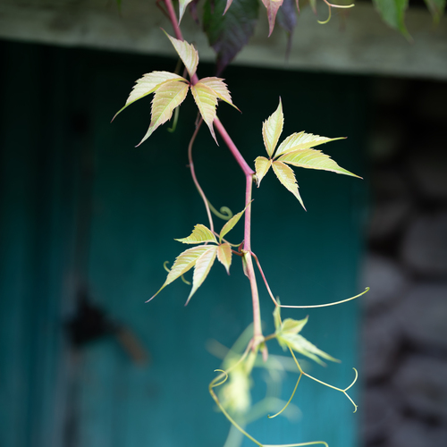 Photo #14122452