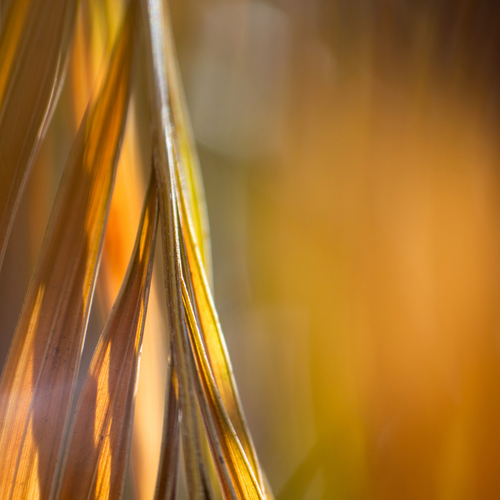 Photo #14122502