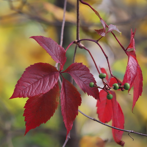 Photo #14122563