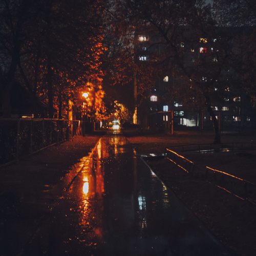Photo #14122673