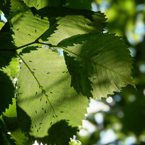 Photo #14122687