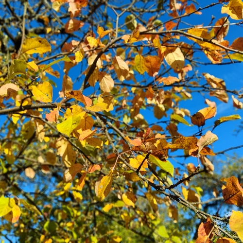 Photo #14122774