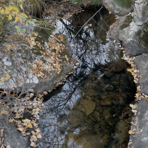 Photo #14122794