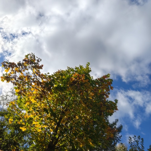 Photo #14122844