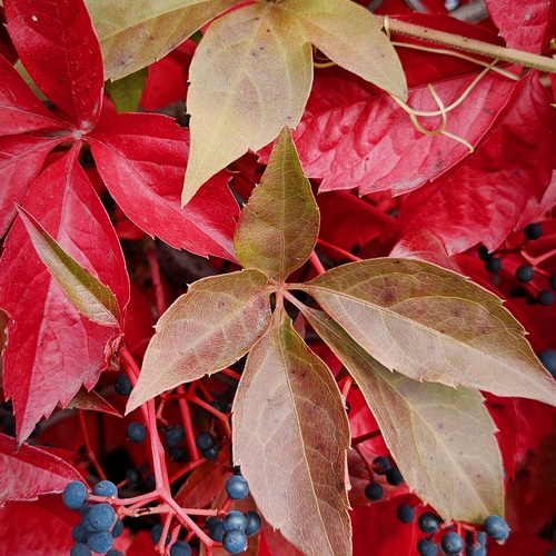 Photo #14122899