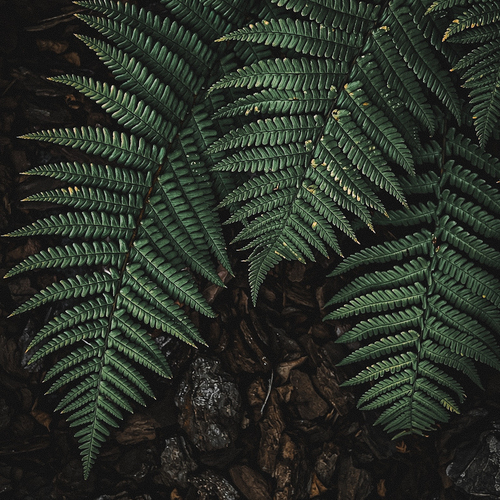Photo #14122912