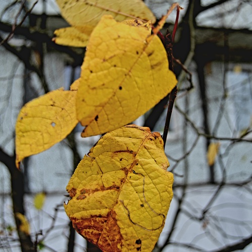 Photo #14122968