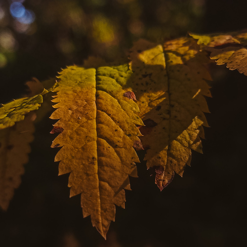 Photo #14122984