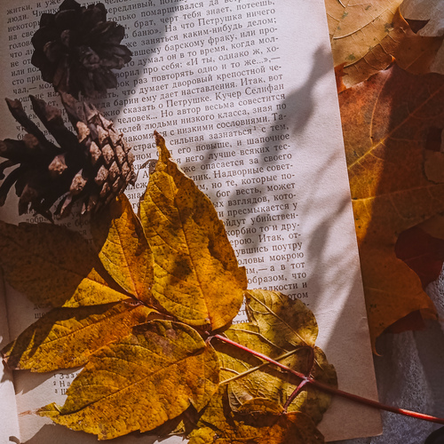 Photo #14122993