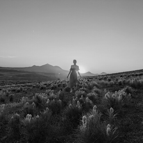 Photo #14123007