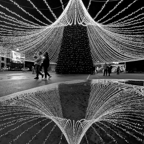 Photo #14123010