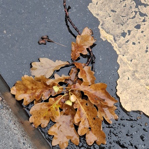 Photo #14123021