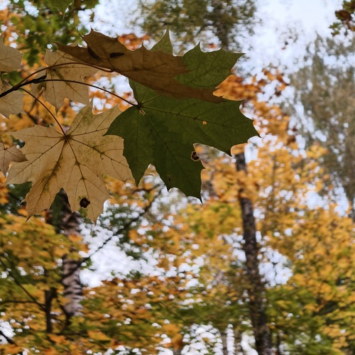 Photo #14123096