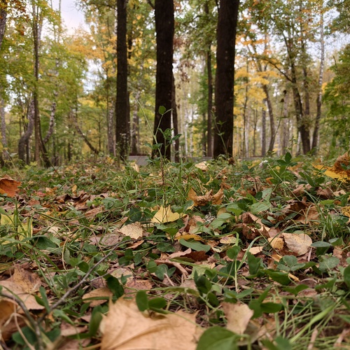 Photo #14123109