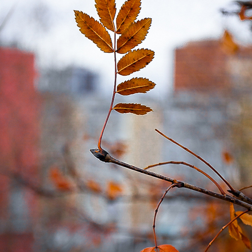 Photo #14123164