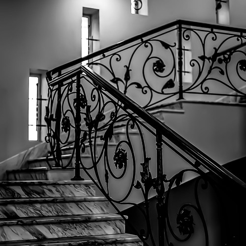 Photo #14123265
