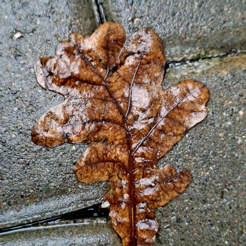 Photo #14123284