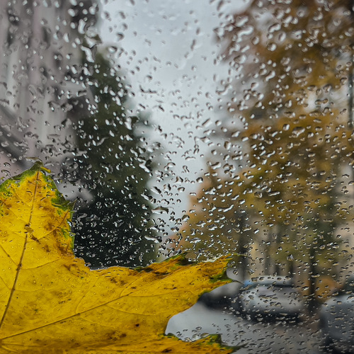 Photo #14123362