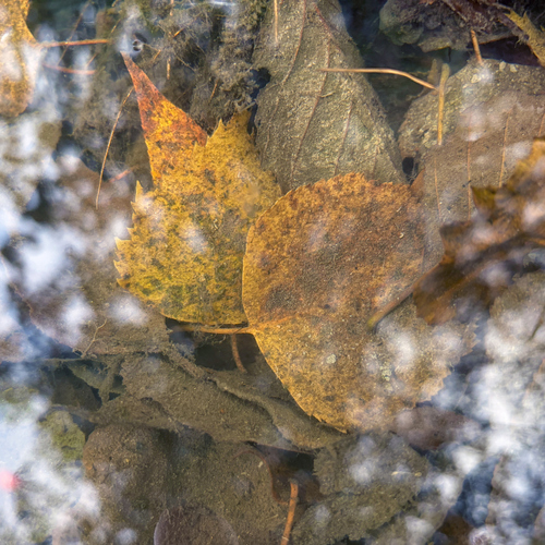 Photo #14123384