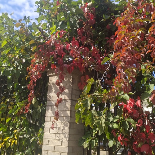 Photo #14123391