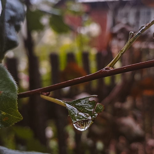 Photo #14123473