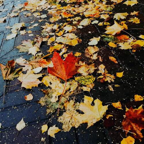 Photo #14123474